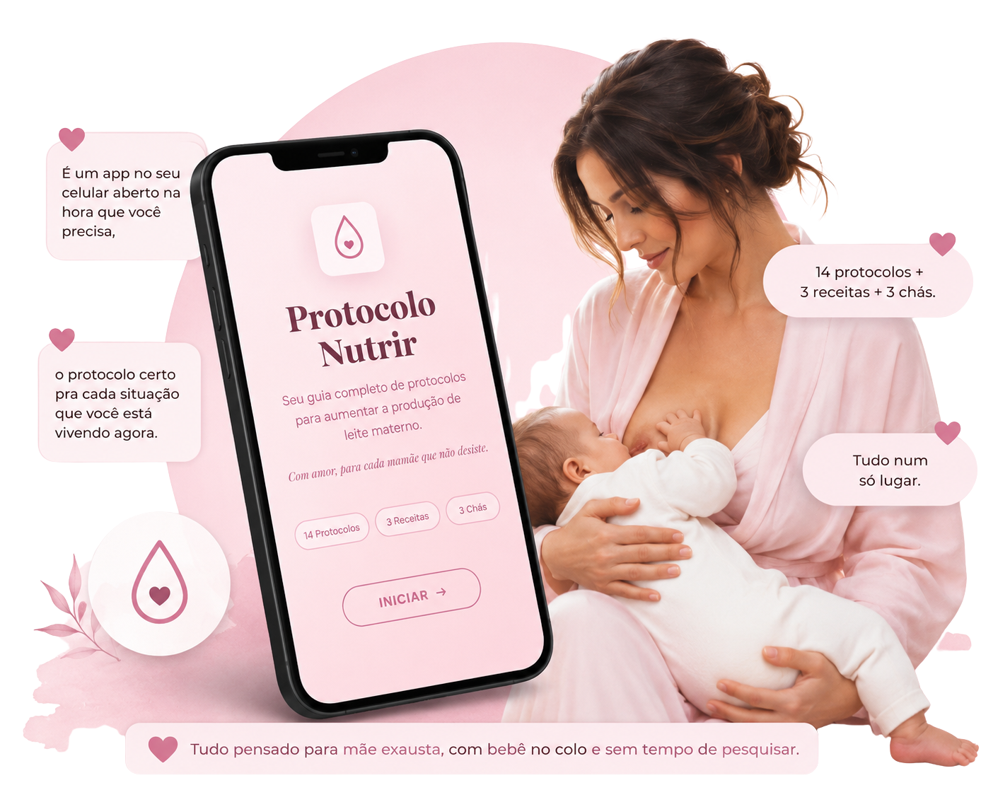 Protocolo Nutrir